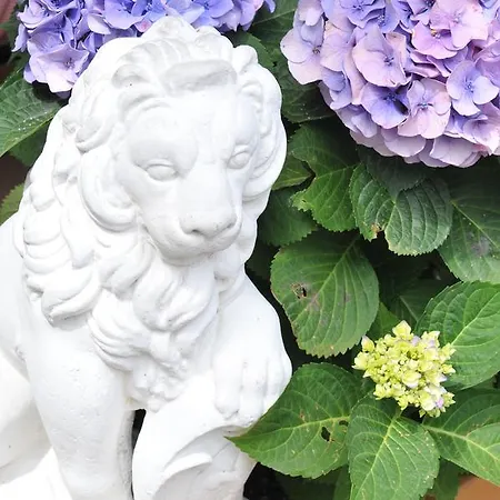 ホテル Helga カオルレ