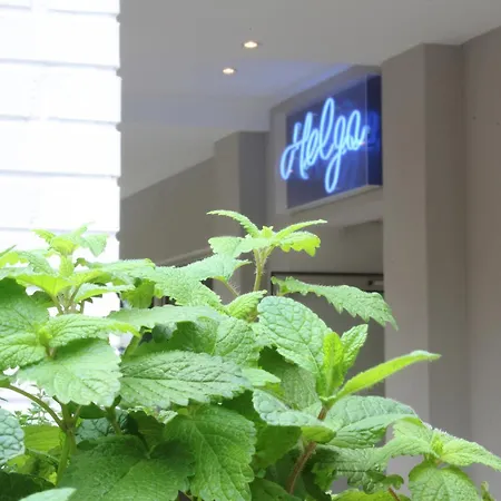 Helga Hotel 2*